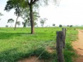 /album/fotos-importantes/fda-morangaba-14-jpg/